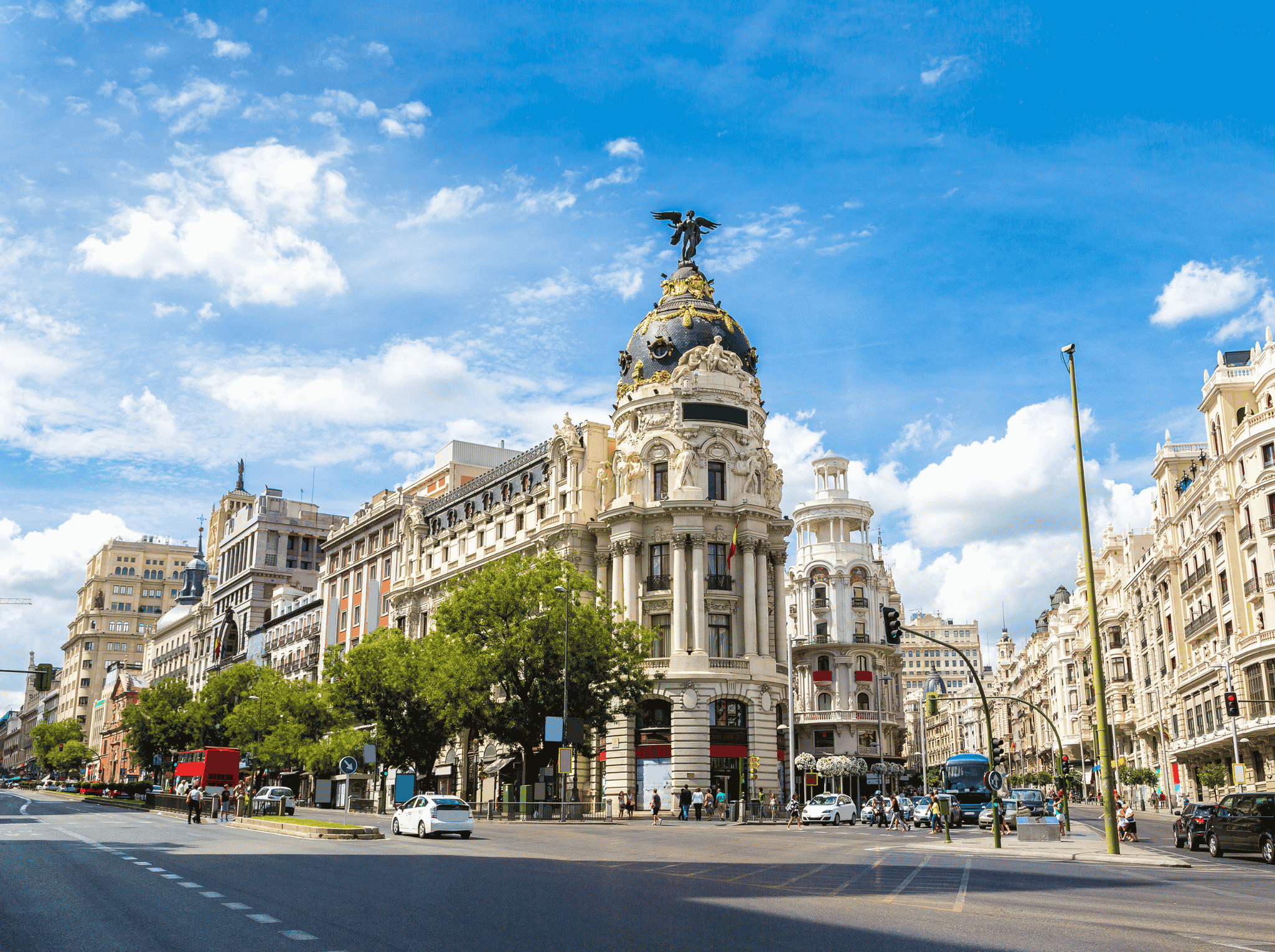 BJJ Madrid | Where to Train: The Complete Guide