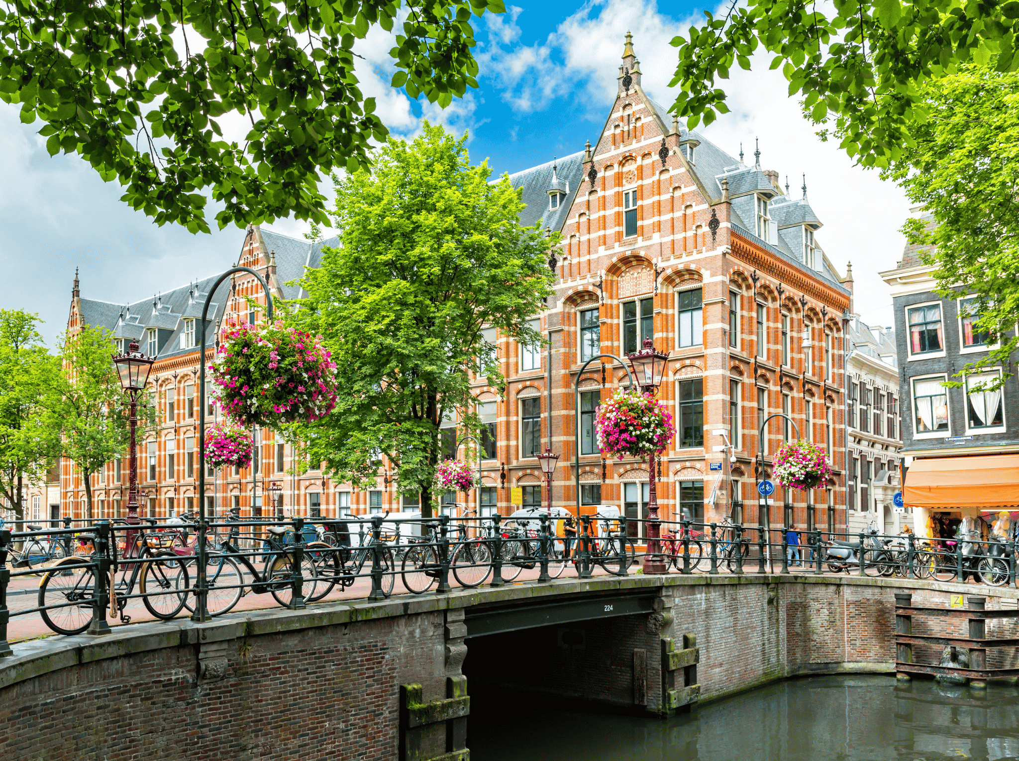 BJJ Drop-Ins in Amsterdam: Everything You Need to Know