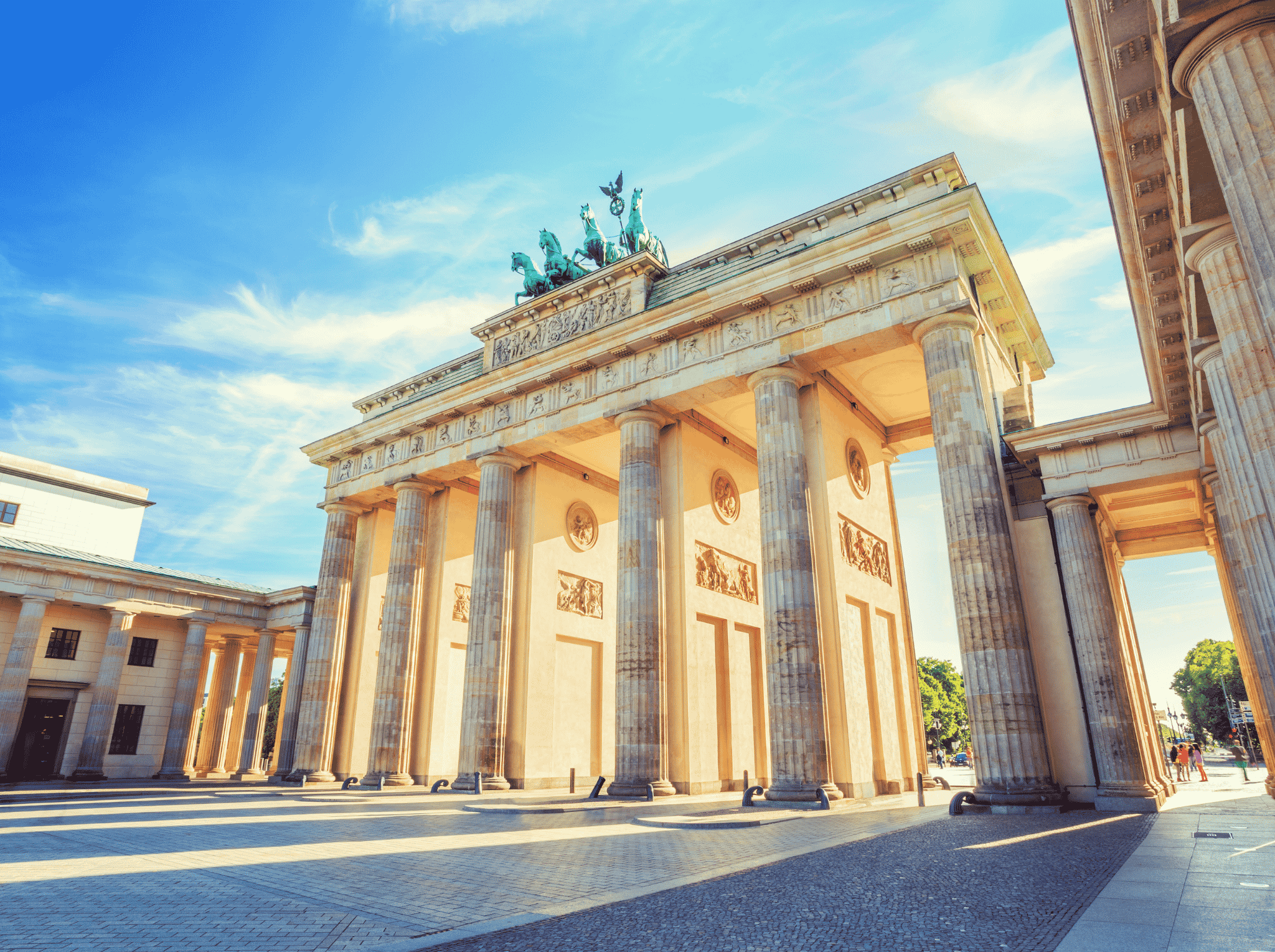 BJJ Berlin | Where to Train: The Complete Guide